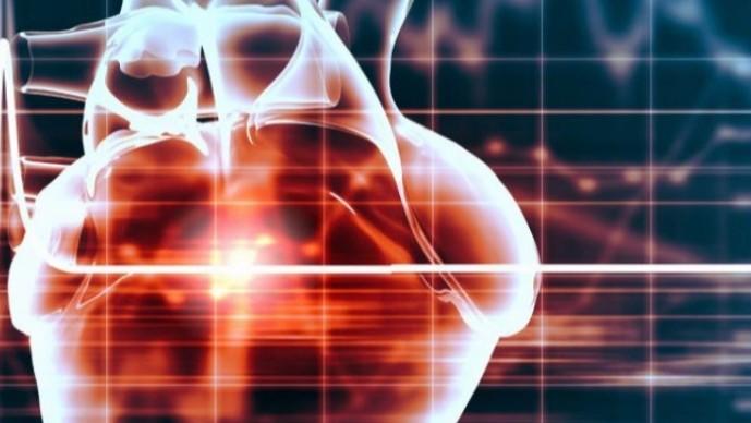 数万案例复盘:从心源性猝死机制透视预防逻辑 新闻 数万案例复盘:从心源性猝死机制透视预防逻辑 新闻