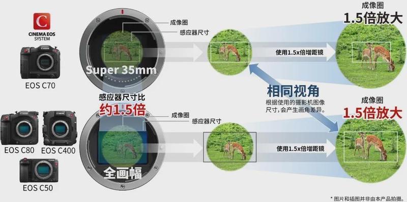  从不可能到行业标杆：佳能CN20×50 IAS技术深度解析 影视小说