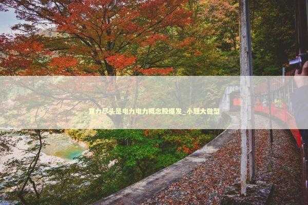 算力尽头是电力电力概念股爆发_小题大做型 新闻