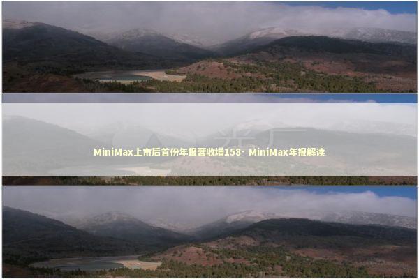 MiniMax上市后首份年报营收增158- MiniMax年报解读 新闻