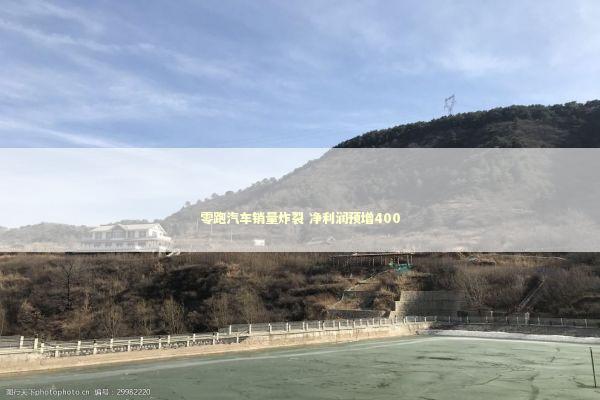 零跑汽车销量炸裂 净利润预增400