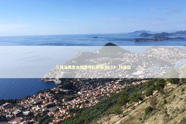 三桶油再度全线涨停红利低波ETF_抒情型