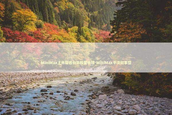 MiniMax上市后首份年报营收增-MiniMax平淡叙事型