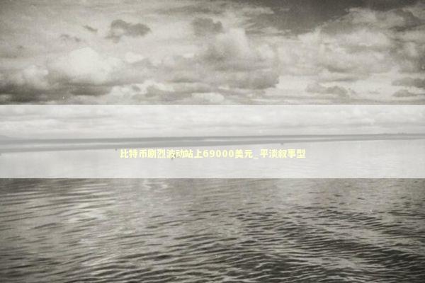 比特币剧烈波动站上69000美元_平淡叙事型 新闻