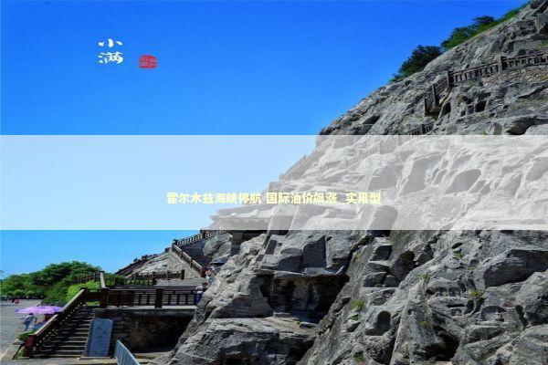 霍尔木兹海峡停航 国际油价飙涨_实用型