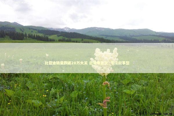 比亚迪销量跌破20万大关 近年来首次_平淡叙事型 新闻