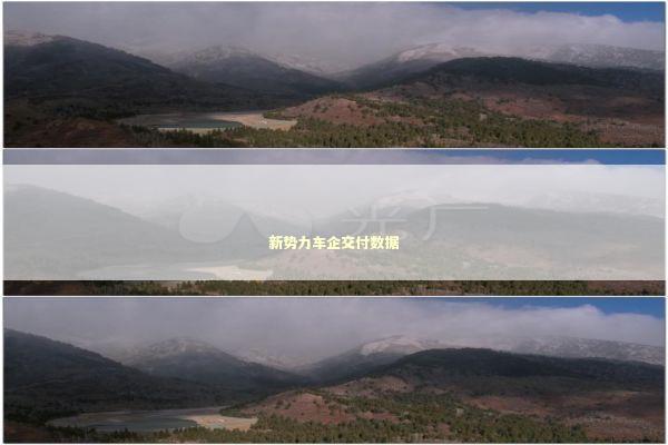 新势力车企交付数据