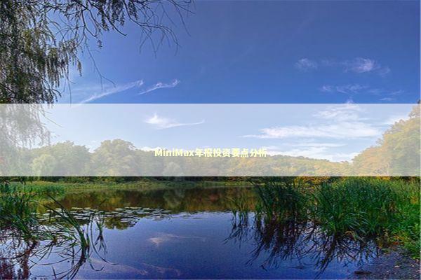 MiniMax年报投资要点分析