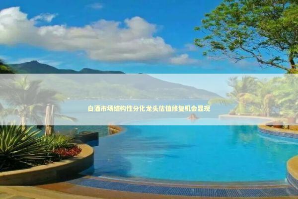 白酒市场结构性分化龙头估值修复机会显现 白酒市场结构性分化龙头估值修复机会显现 新闻