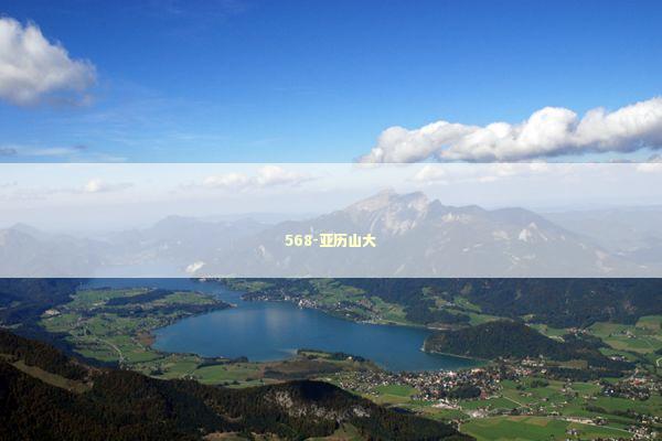 568-亚历山大 新闻