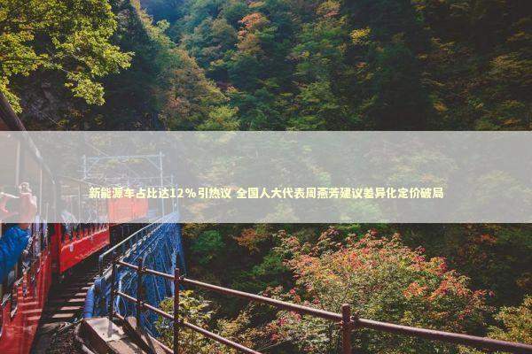 新能源车占比达12%引热议 全国人大代表周燕芳建议差异化定价破局