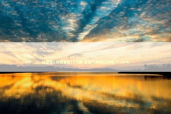 比亚迪2月销量超19万辆 长城汽车同比劲增37.36% 比亚迪2月销量超19万辆 长城汽车同比劲增37.36% 新闻