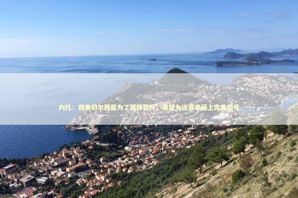 内托:我来切尔西是为了赢得奖杯,希望为这赛季画上完美句号 内托:我来切尔西是为了赢得奖杯,希望为这赛季画上完美句号 新闻