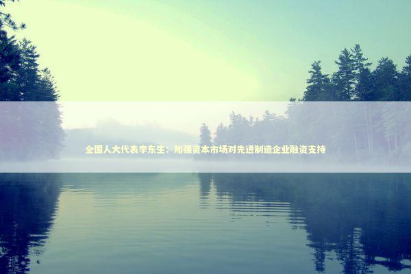 全国人大代表李东生：加强资本市场对先进制造企业融资支持
