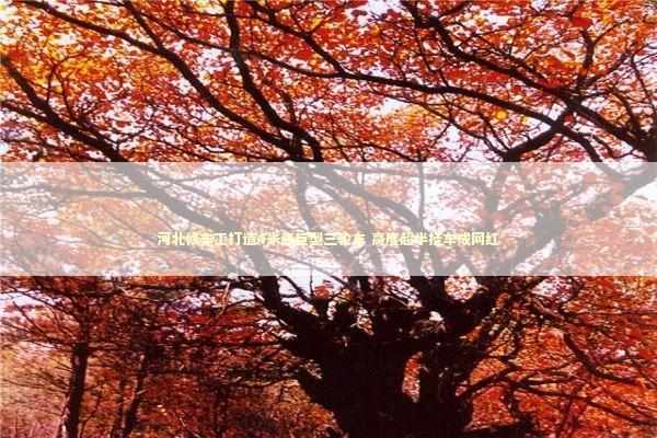 河北修车工打造4米高巨型三轮车 高度超半挂车成网红 新闻