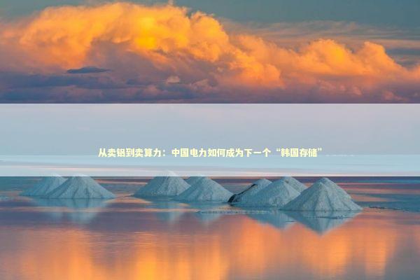 从卖铝到卖算力：中国电力如何成为下一个“韩国存储”
