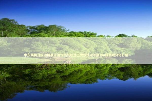 中东局势升级油价暴涨油气燃气航运三大板块逆市涨停A股再现分化行情 中东局势升级油价暴涨油气燃气航运三大板块逆市涨停A股再现分化行情 新闻