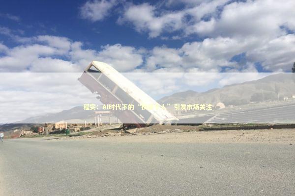 程实：AI时代下的“投资于人”引发市场关注
