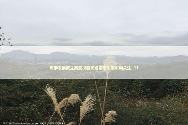 海泰发展被立案受损股民速索赔引发市场关注_11 海泰发展被立案受损股民速索赔引发市场关注_11 新闻