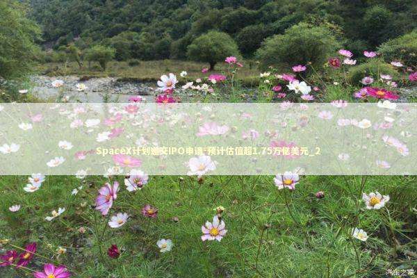 SpaceX计划递交IPO申请-预计估值超1.75万亿美元_2