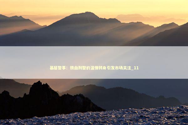 基层警事：铁血刑警的温情转身引发市场关注_11 新闻