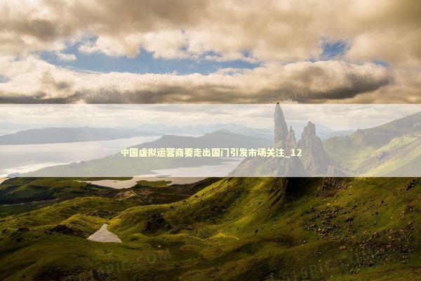 中国虚拟运营商要走出国门引发市场关注_12
