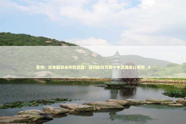 警惕！日本解禁杀伤性武器！将彻底改写数十年武器出口原则_4