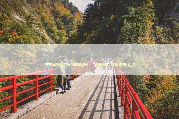 中东局势致航运风险飙升：“战争险”的保与不保_3