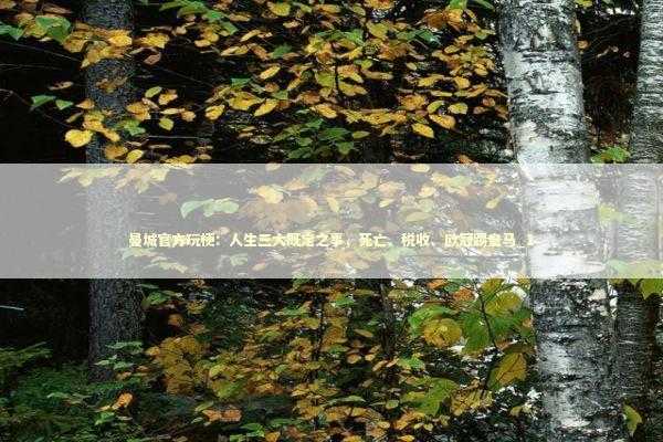 曼城官方玩梗:人生三大既定之事,死亡、税收、欧冠踢皇马_1 曼城官方玩梗:人生三大既定之事,死亡、税收、欧冠踢皇马_1 新闻