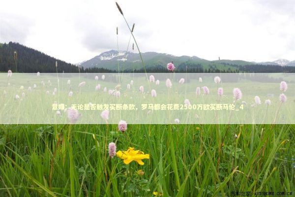 意媒：无论是否触发买断条款，罗马都会花费2500万欧买断马伦_4 新闻
