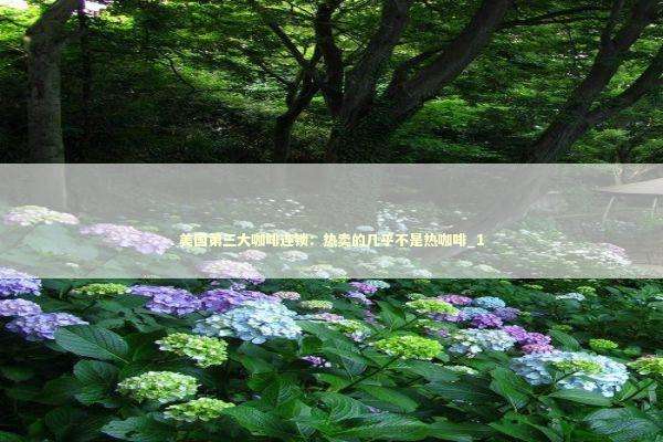 美国第三大咖啡连锁：热卖的几乎不是热咖啡_1 新闻