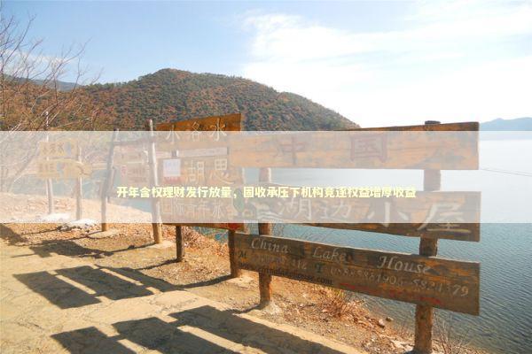 开年含权理财发行放量，固收承压下机构竞逐权益增厚收益