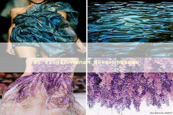 跟队:尤文已经重启DV9续约谈判,预计开出600万欧年薪报价 跟队:尤文已经重启DV9续约谈判,预计开出600万欧年薪报价 新闻