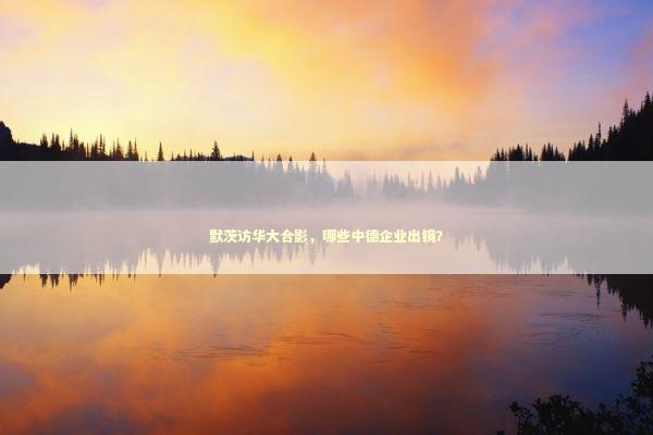 默茨访华大合影，哪些中德企业出镜？ 新闻