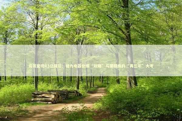 高瓴套现43亿背后：格力电器业绩“双降”与董明珠的“再三年”大考 新闻