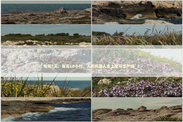 每周5天、每天10小时：人形机器人走上宝马生产线_2