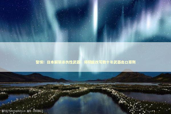 警惕！日本解禁杀伤性武器！将彻底改写数十年武器出口原则