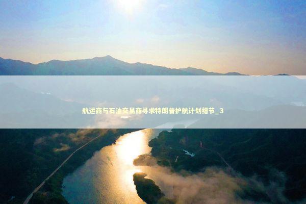航运商与石油交易商寻求特朗普护航计划细节_3