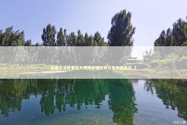 从春节消费看超大规模市场优势引发市场关注_1