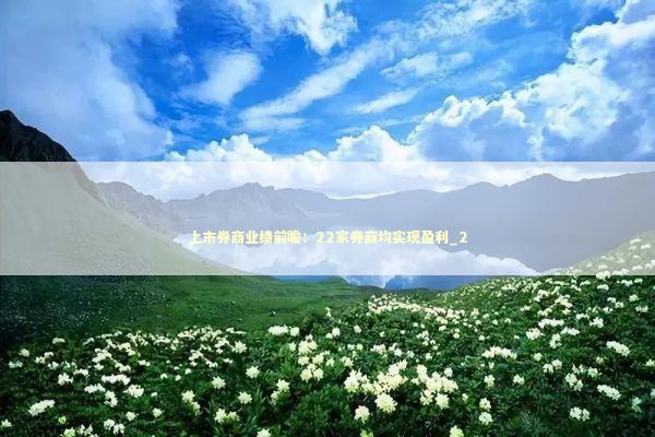 上市券商业绩前瞻：22家券商均实现盈利_2