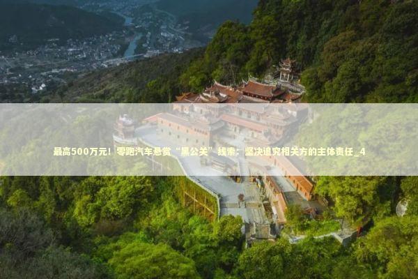 最高500万元！零跑汽车悬赏“黑公关”线索：坚决追究相关方的主体责任_4