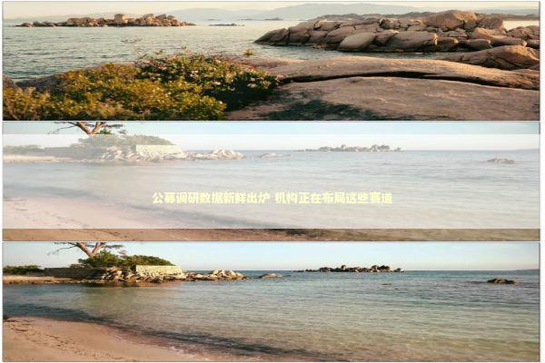 公募调研数据新鲜出炉 机构正在布局这些赛道