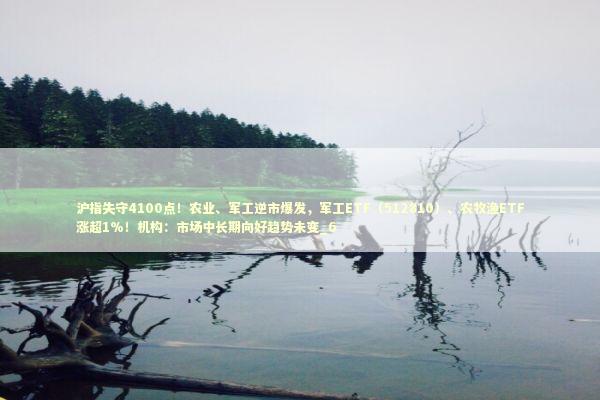沪指失守4100点！农业、军工逆市爆发，军工ETF（512810）、农牧渔ETF涨超1%！机构：市场中长期向好趋势未变_6 新闻