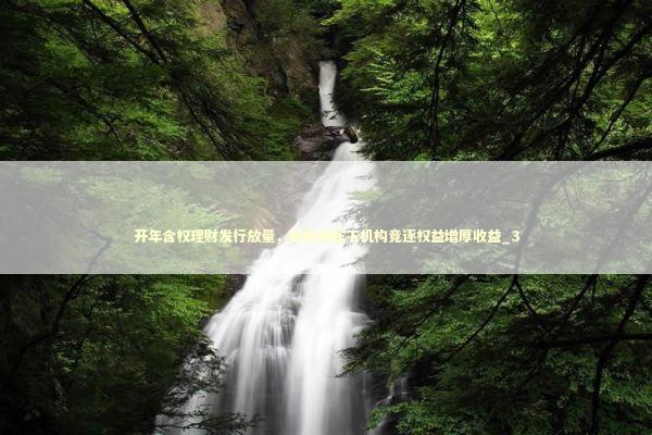 开年含权理财发行放量，固收承压下机构竞逐权益增厚收益_3
