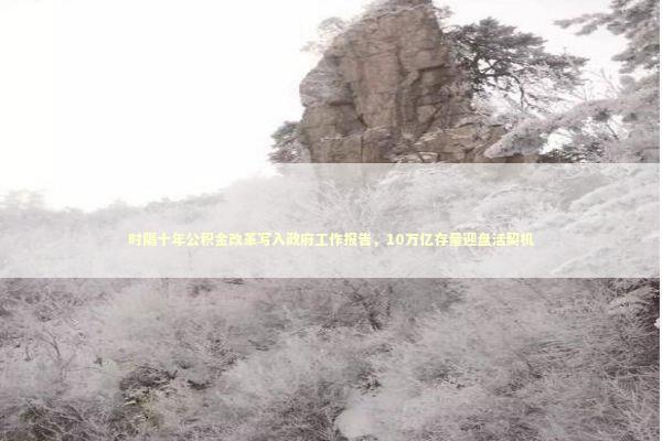 时隔十年公积金改革写入政府工作报告，10万亿存量迎盘活契机