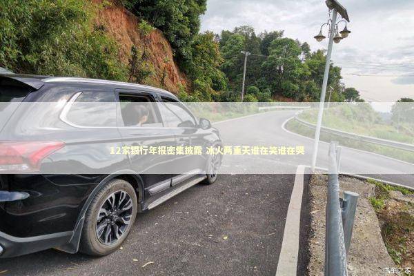 12家银行年报密集披露 冰火两重天谁在笑谁在哭 新闻