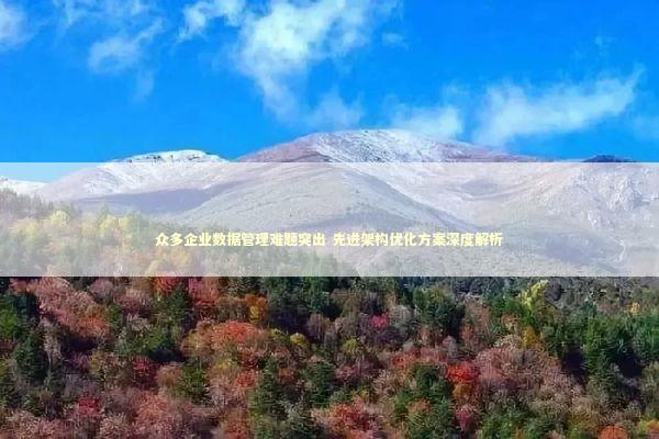 众多企业数据管理难题突出 先进架构优化方案深度解析 众多企业数据管理难题突出 先进架构优化方案深度解析 新闻