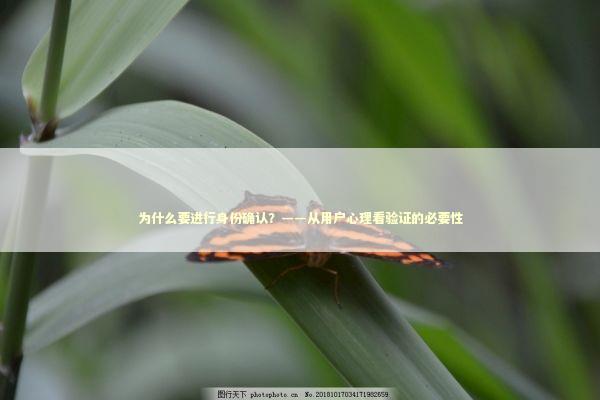 为什么要进行身份确认？——从用户心理看验证的必要性 IT技术