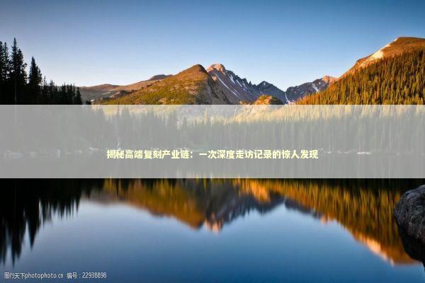 揭秘高端复刻产业链：一次深度走访记录的惊人发现 时尚用品
