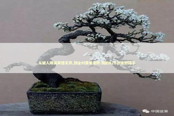 从被人嘲笑异想天开,到全村跟着发财:我的B2B创业野路子